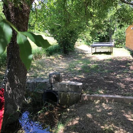 Gite Dans Le Sud Aveyron サンタフリク エクステリア 写真